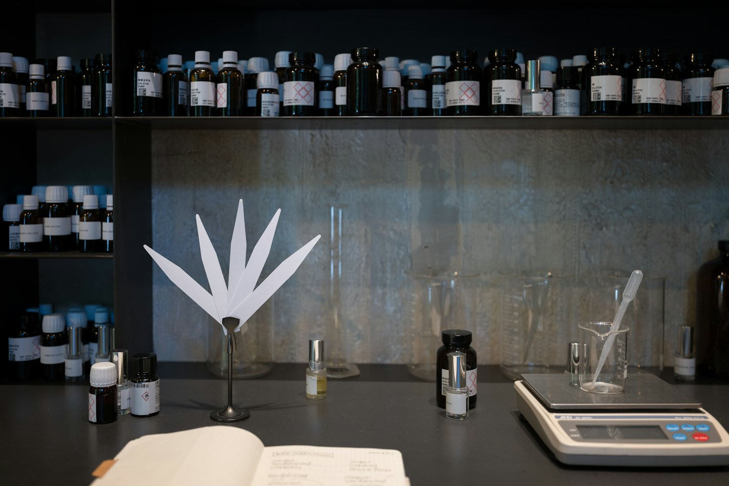 Glass bottles of liquids and scent strips in a perfumery lab.