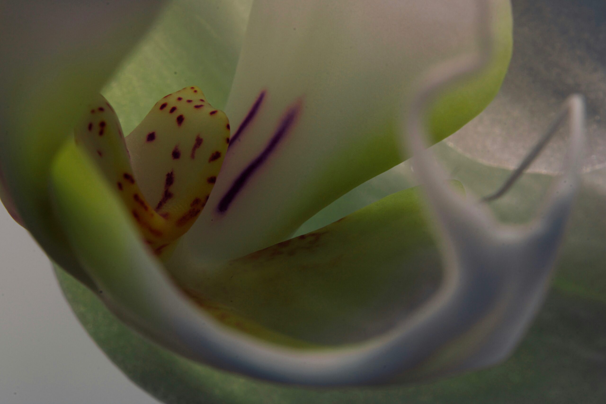 Hello world!
